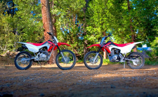 CRF125F