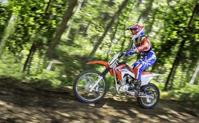 CRF125F